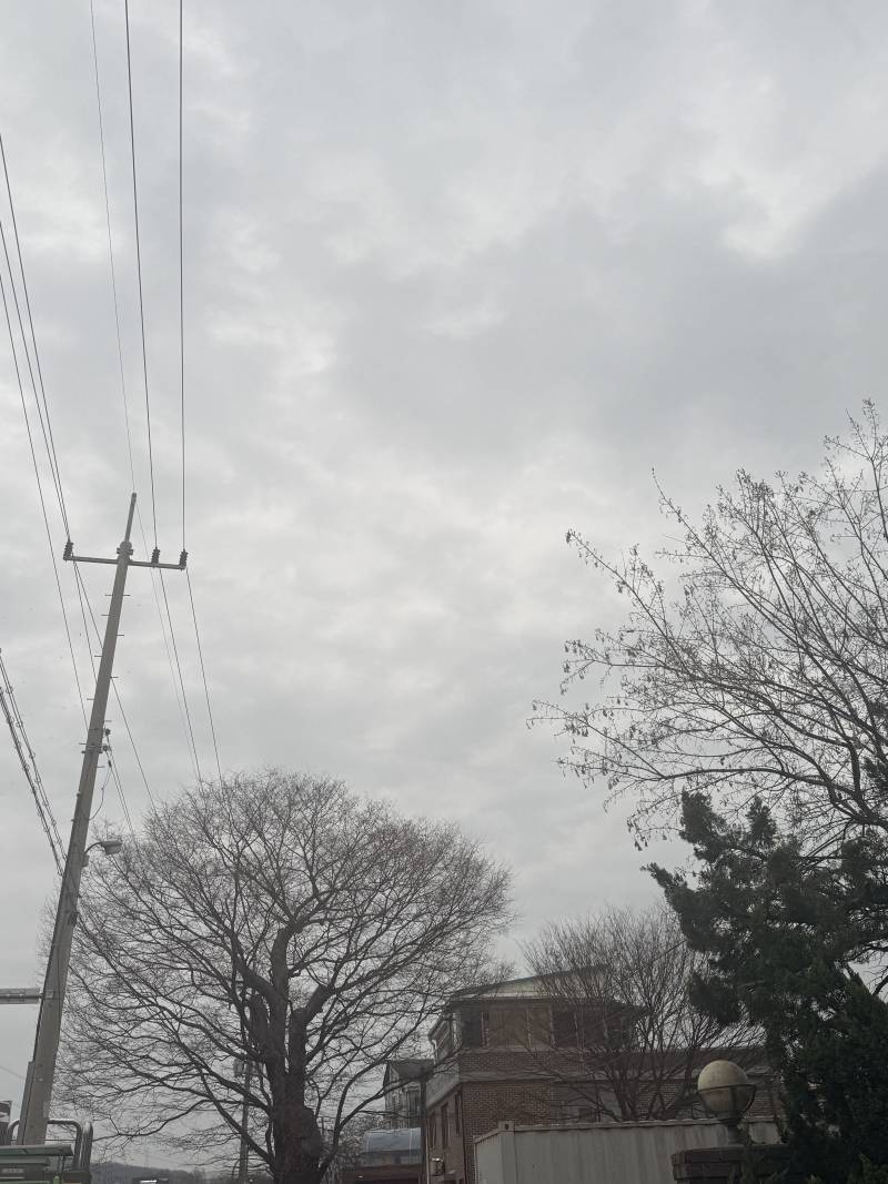 [잡담] 노숙 이틀차 | 인스티즈