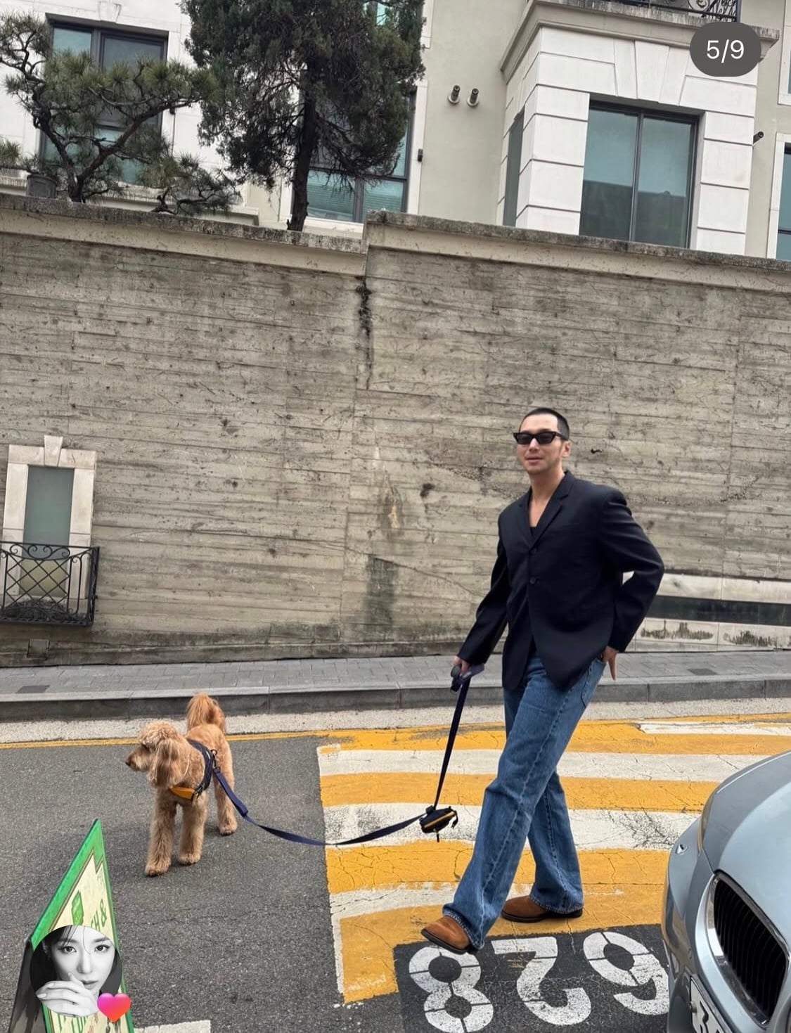 [잡담] 변요한 강아지랑 찍은 티파니 부부스타그램 🐶 | 인스티즈