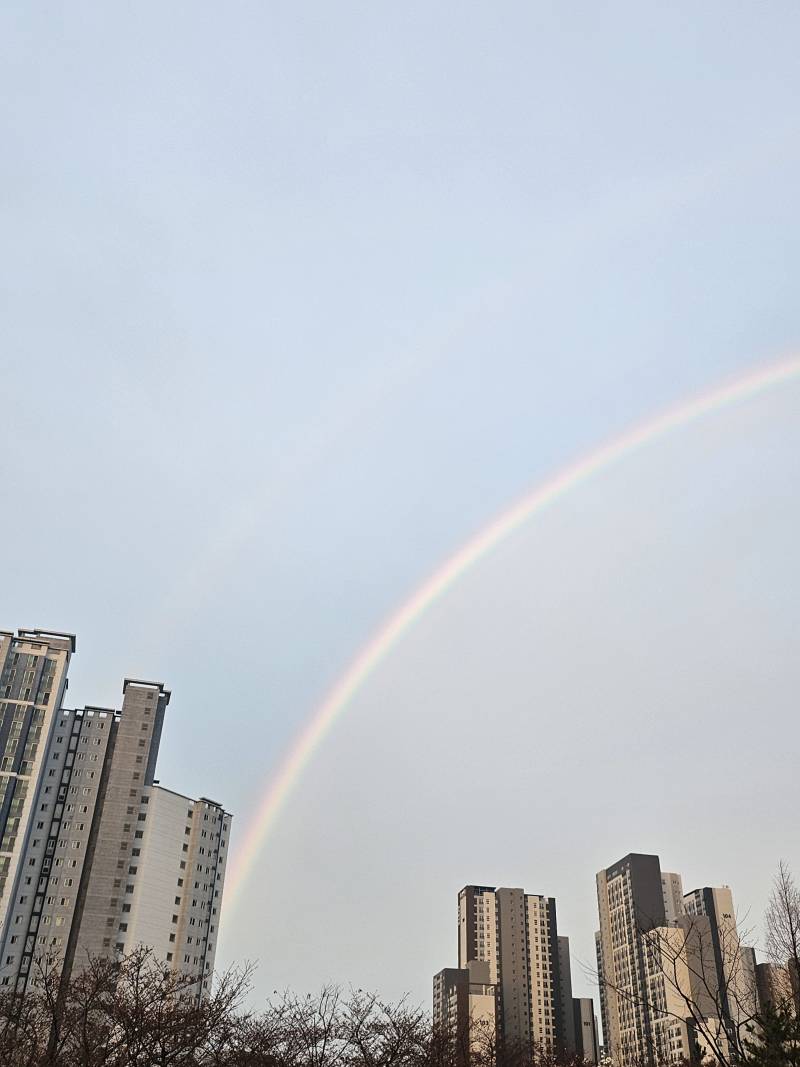 [잡담] 오늘 난생 처음으로 무지개 봤음 | 인스티즈