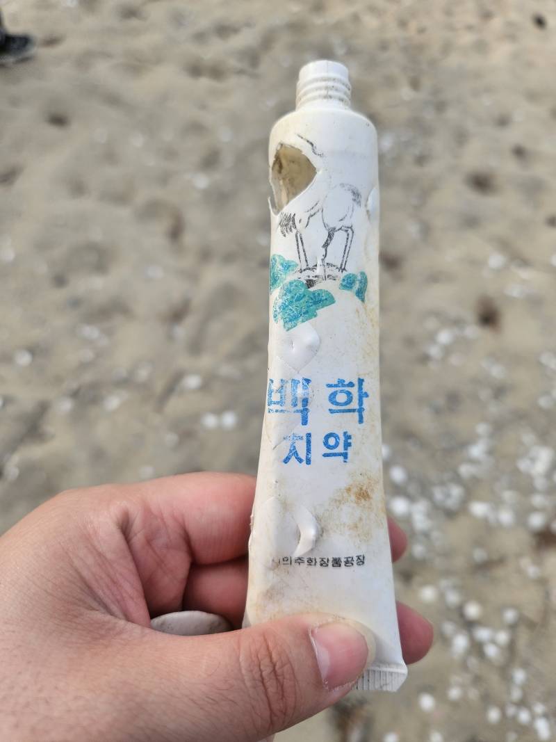 [잡담] 주말에 바닷가 산책하다 주움 | 인스티즈