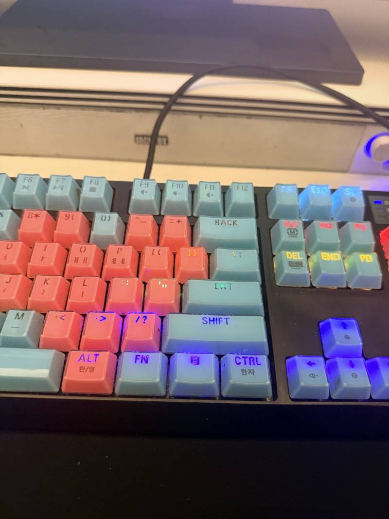 [잡담] 노숙 3일차! | 인스티즈