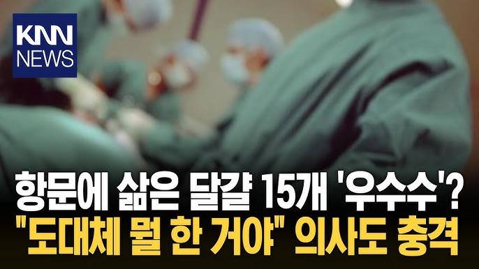 (충격주의) 항문에 깐 달걀 15개 넣은 남..JPG | 인스티즈