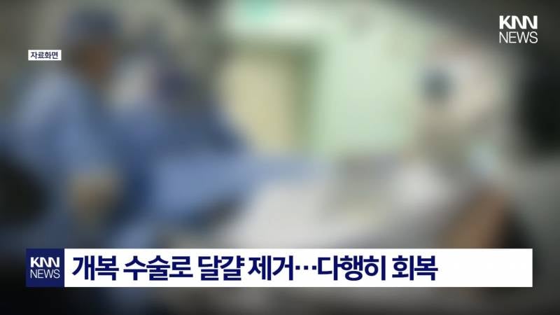 (충격주의) 항문에 깐 달걀 15개 넣은 남..JPG | 인스티즈