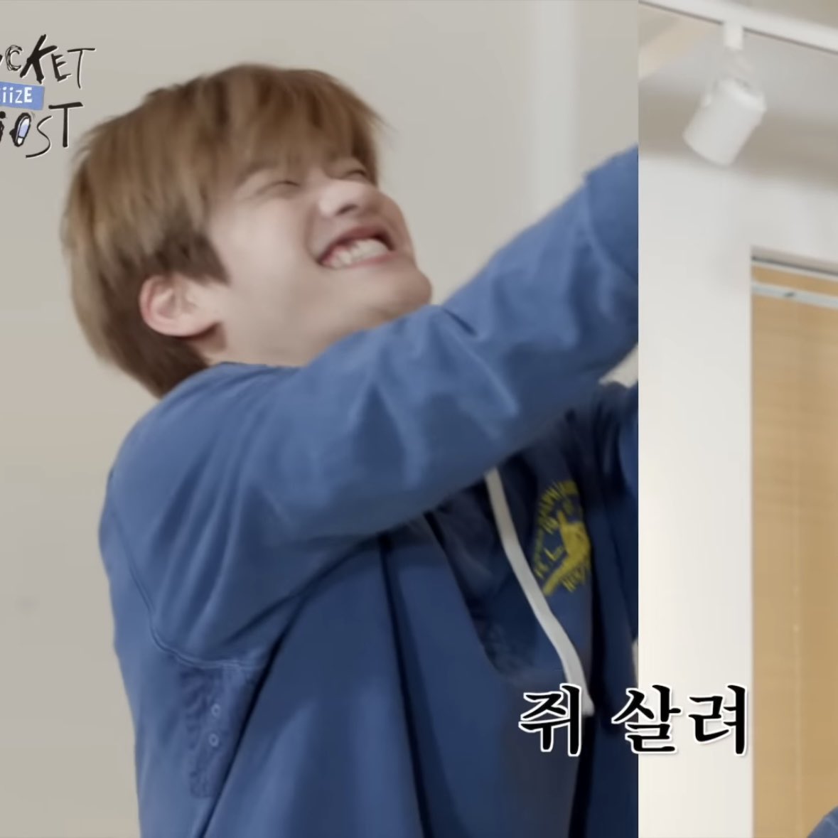 [잡담] 소희 끼끼였다가 쥐였다가 | 인스티즈