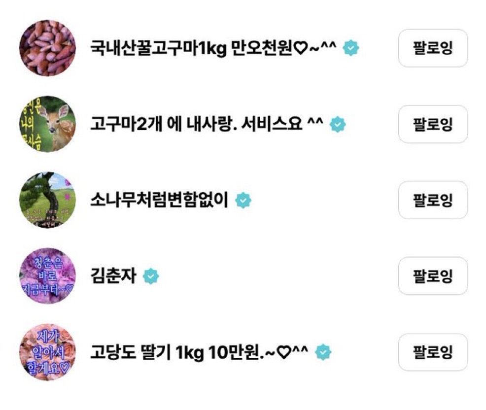 [잡담] 하투하 만우절 닉넴 예숭이다 | 인스티즈