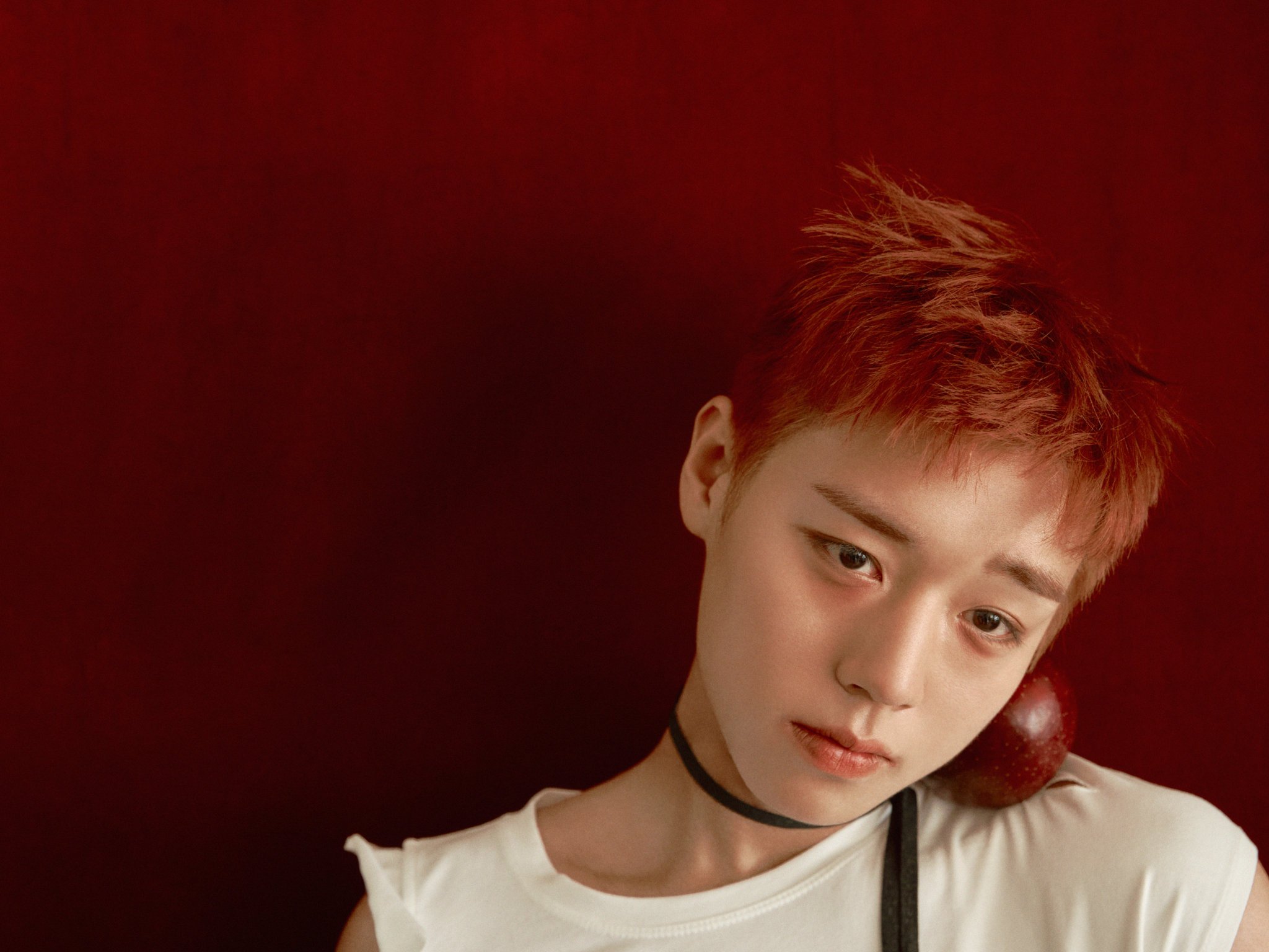 [잡담] 박지훈 컨셉포토 진짜 단종 컨셉일까? 사과랑 끈이랑 활 | 인스티즈