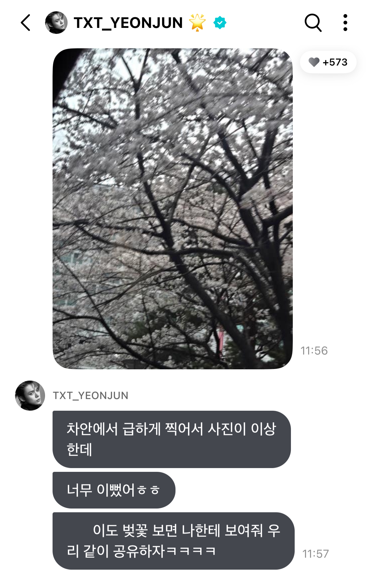 [잡담] 투바투 위버스 지금 벚꽃밭이다🌸 | 인스티즈