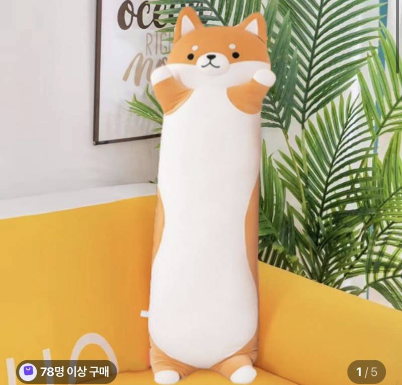 [잡담] 큰 인형 세탁 어떻게 해? | 인스티즈