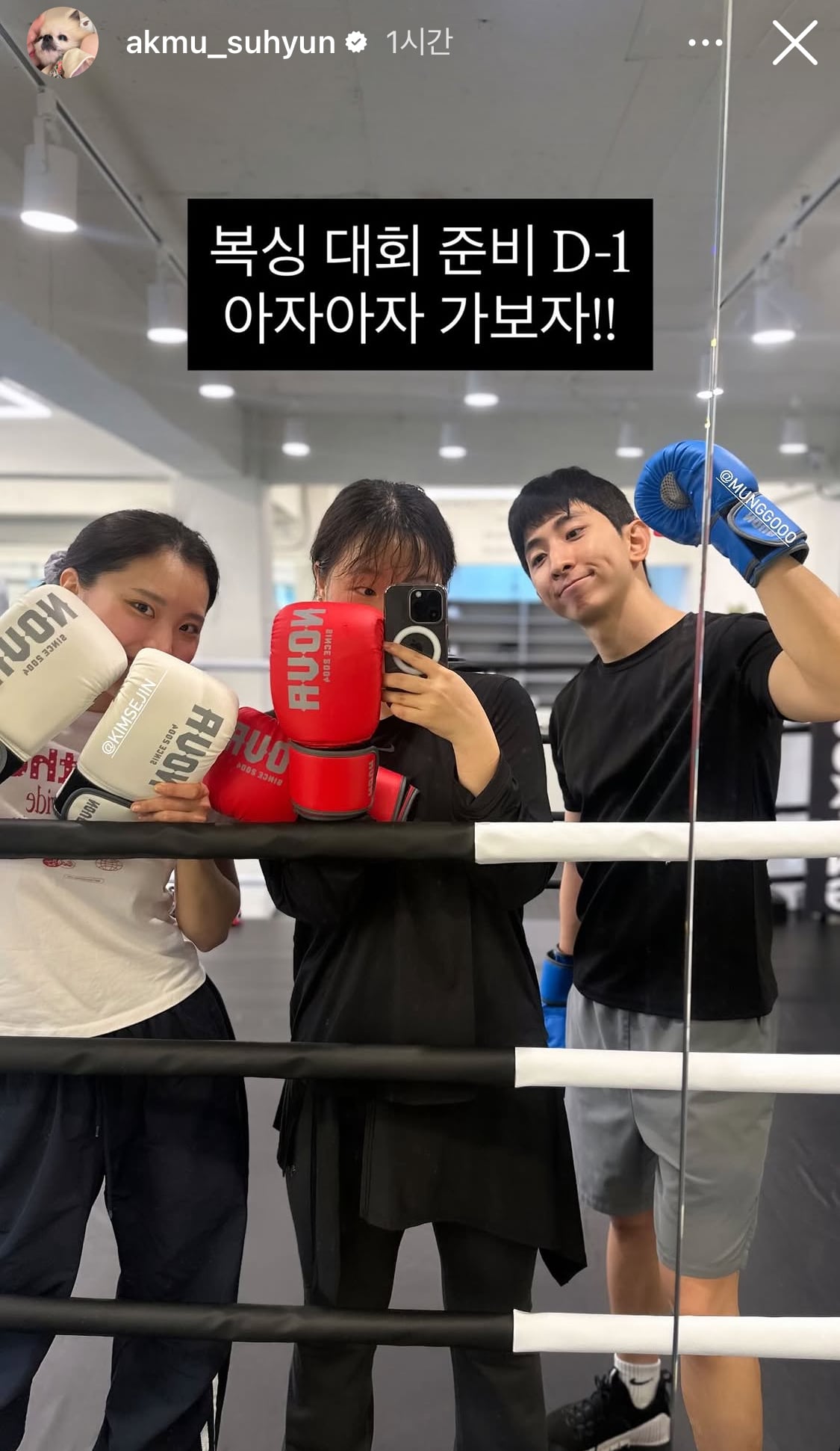 [잡담] 악뮤 수현이 복싱대회 나가나봐 | 인스티즈
