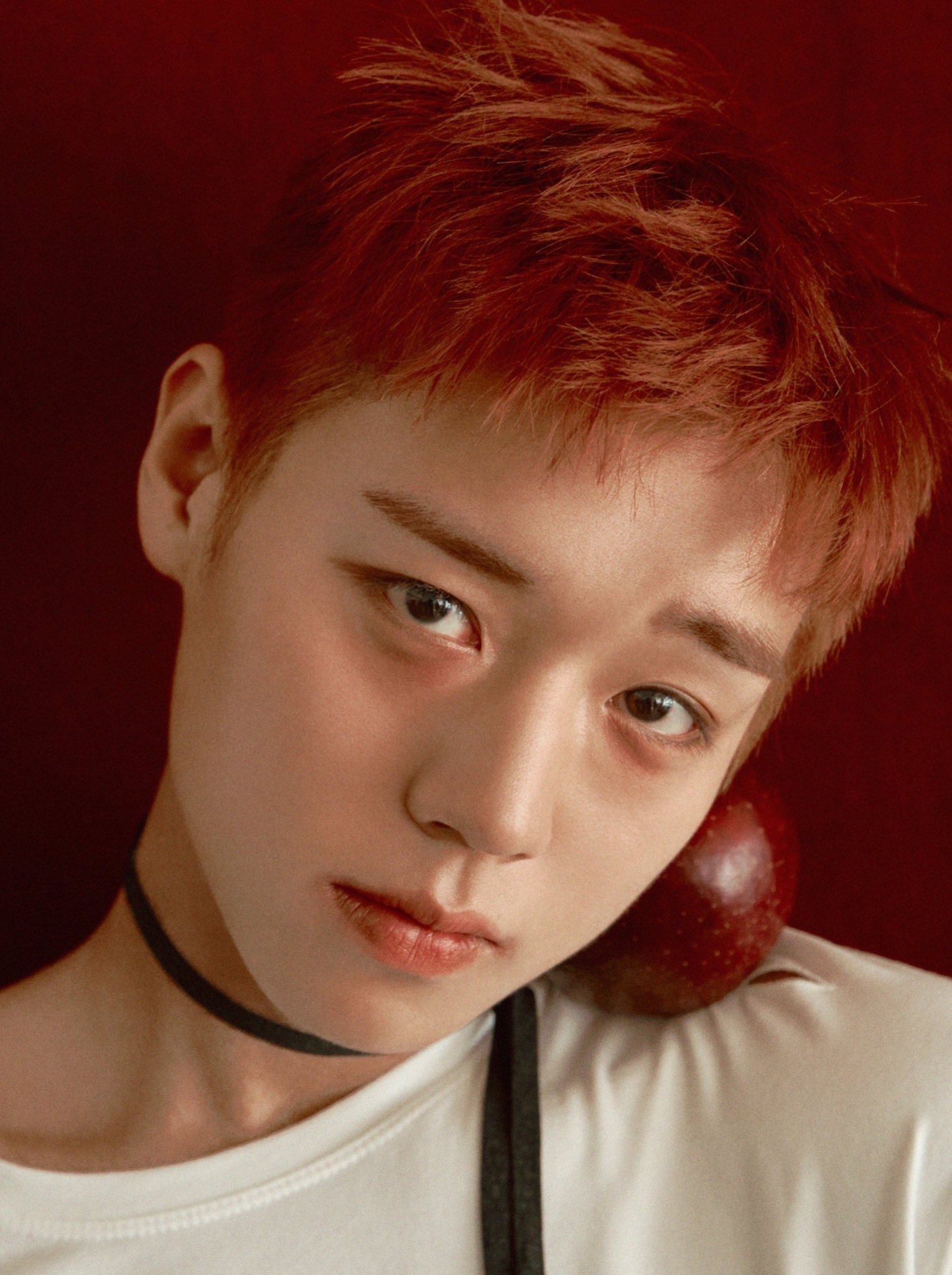 [잡담] 와 박지훈 같은 레드 헤어인데도 느낌 엄청 다르네 | 인스티즈