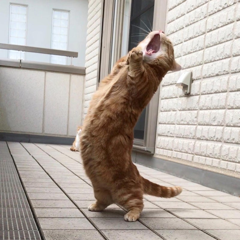 [잡담] 잠깐 타임~ 흥흥흥 | 인스티즈
