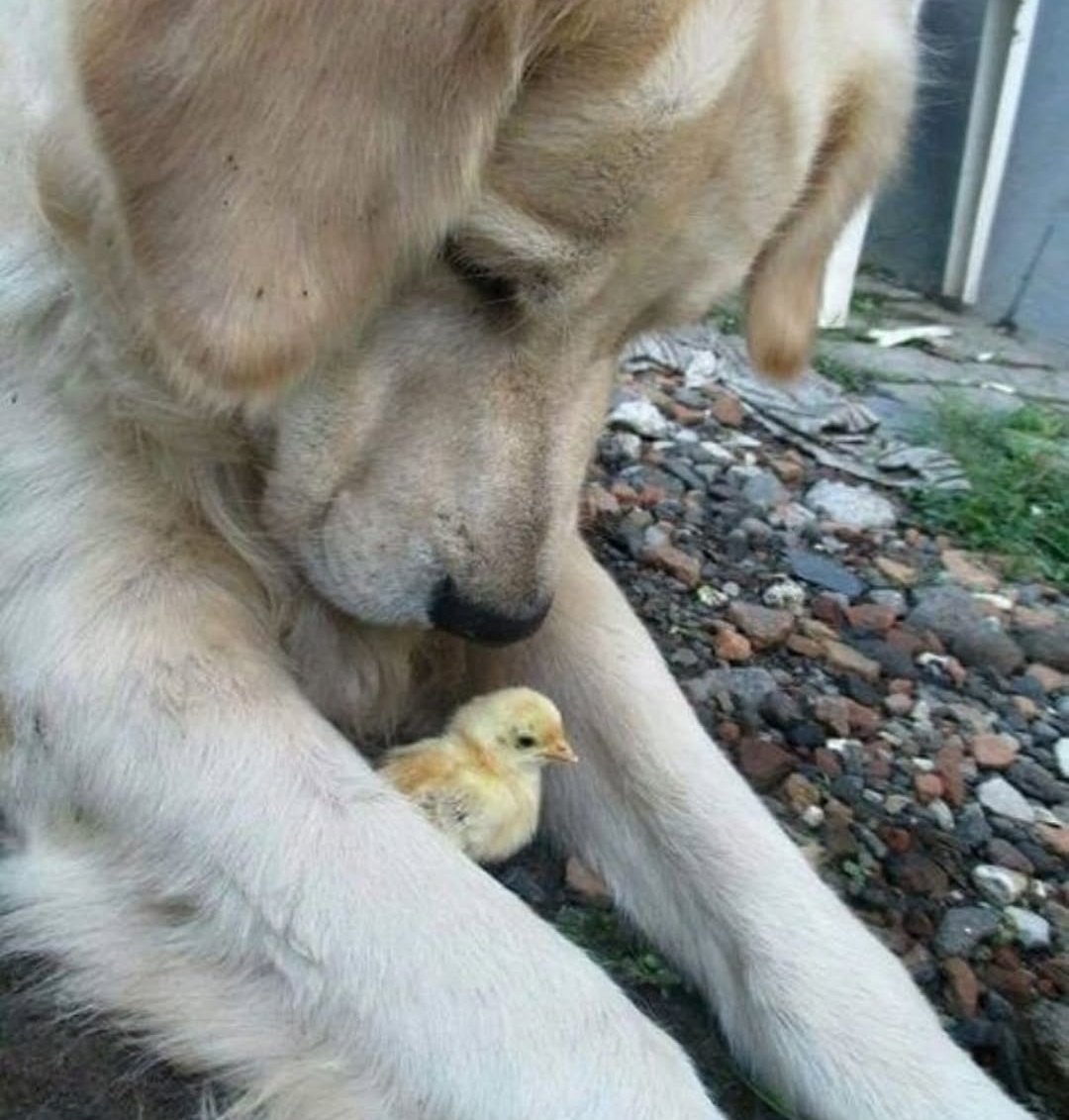 [잡담] 대군부인) 완이본 소속사 이사님이 이사진 올림 ㅋㅋㅋㅋ | 인스티즈