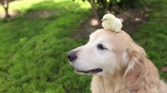[잡담] 대군부인) 완이본 소속사 이사님이 이사진 올림 ㅋㅋㅋㅋ | 인스티즈