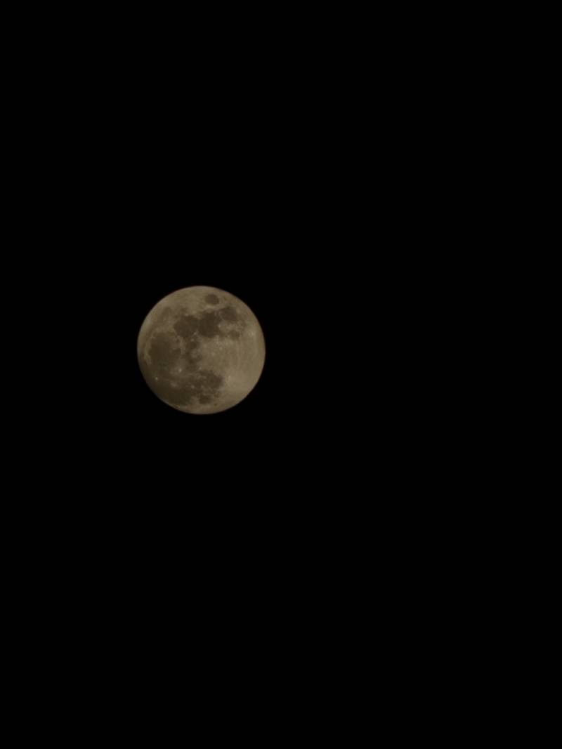 [잡담] 내가 찍은 달사진 🌕 | 인스티즈