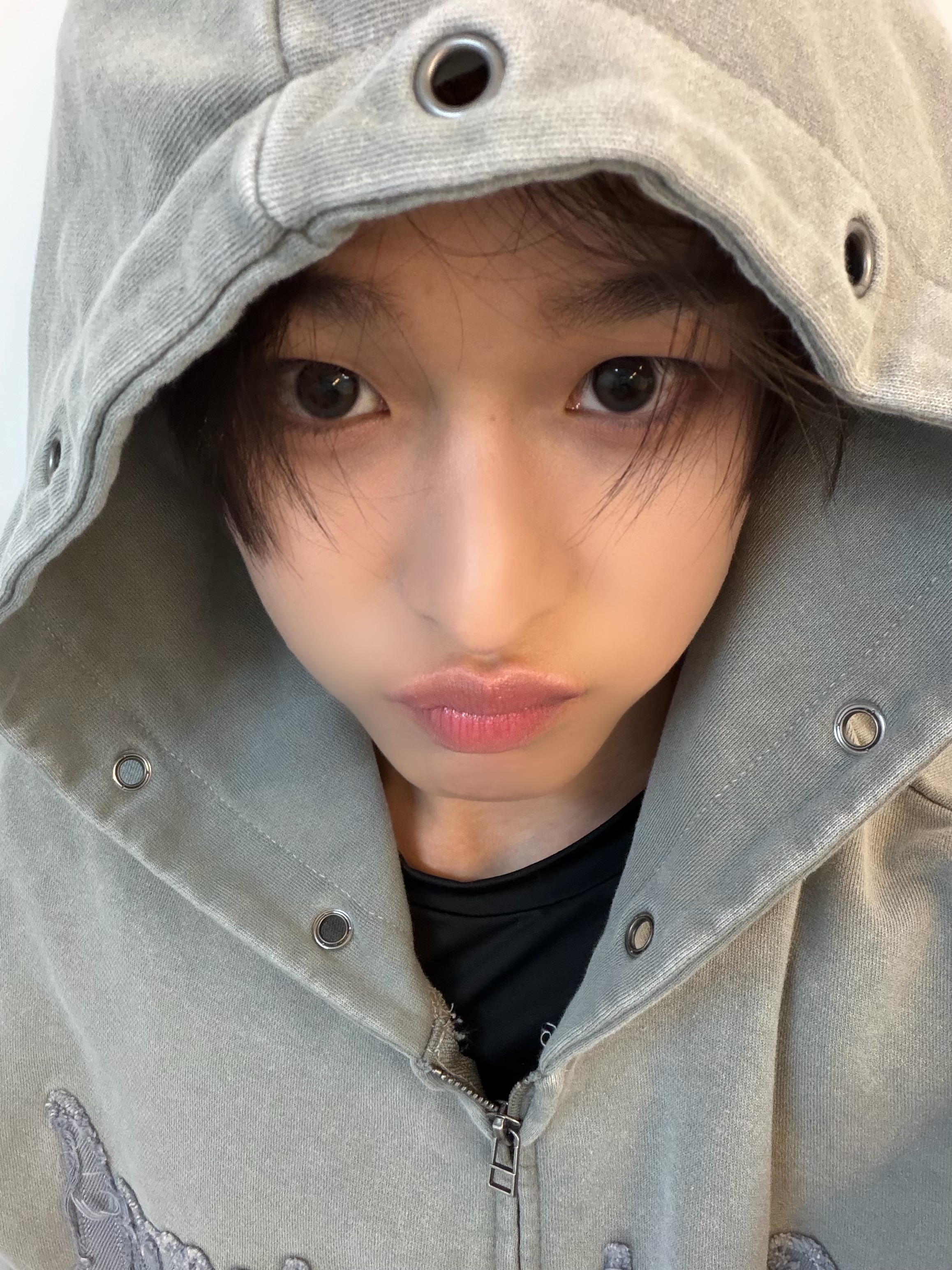 [잡담] 내 햄햄이 보고싶다 | 인스티즈
