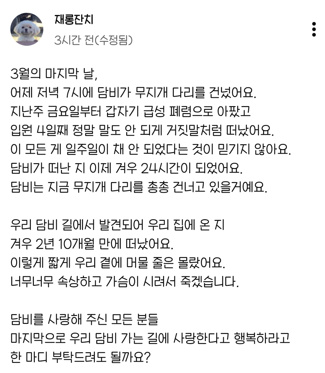 [잡담] 담비 무지개다리 건넌 거 안 믿긴다 ,, | 인스티즈