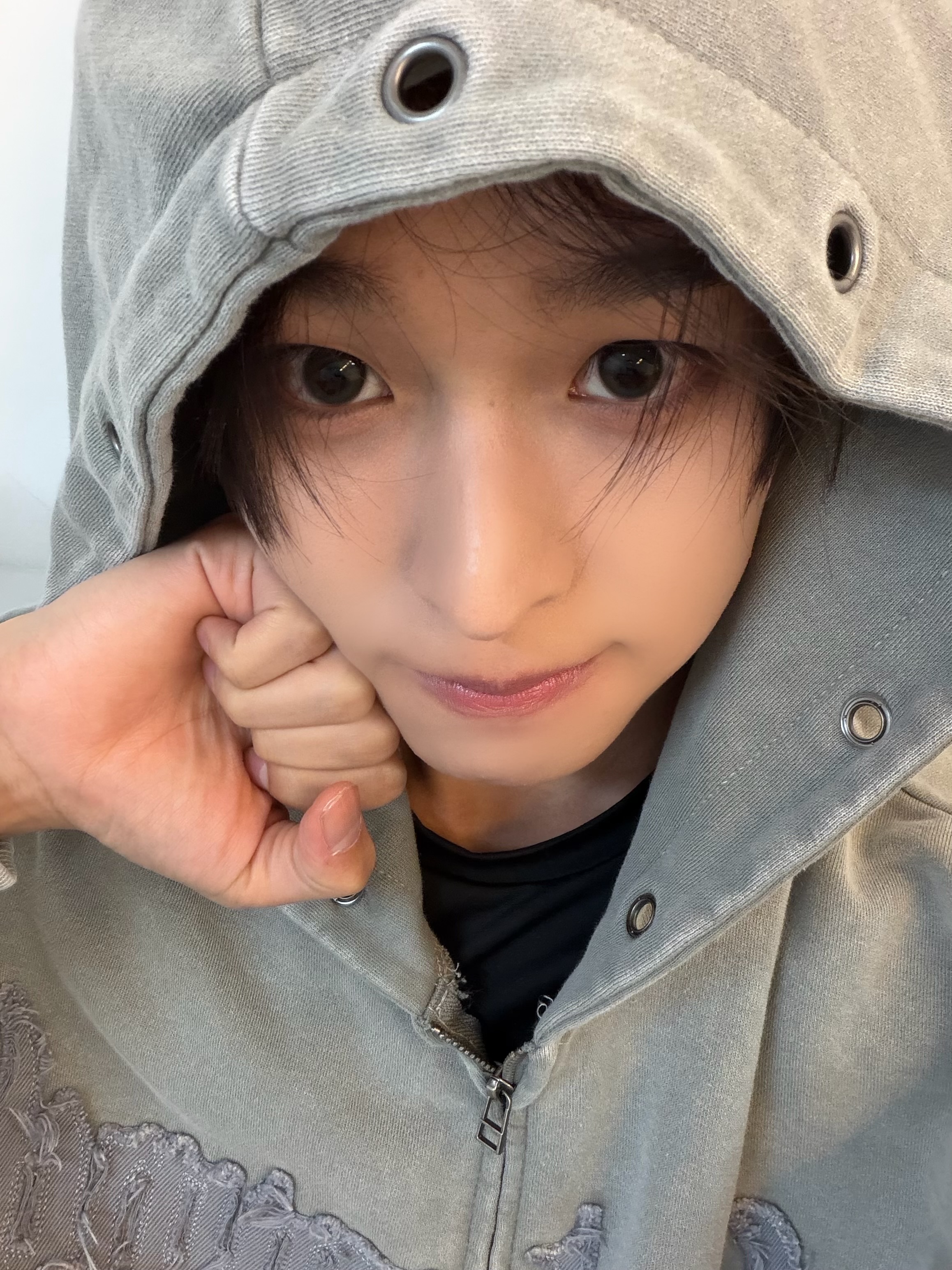 [잡담] 내 햄햄이 보고싶다 | 인스티즈