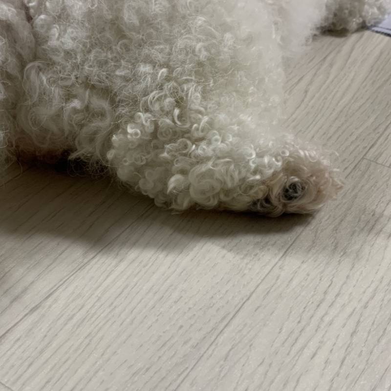 [잡담] 진짜 정말로 이게 다임 | 인스티즈