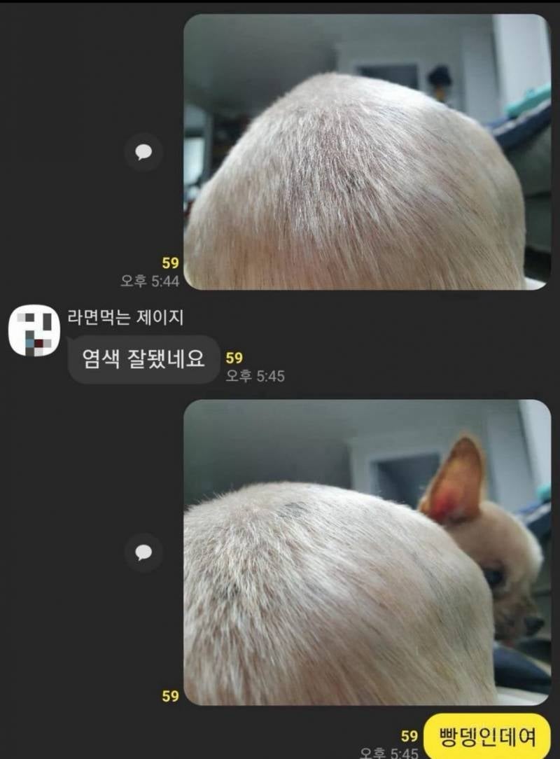 저 머리 탈색 잘 됐나요? | 인스티즈