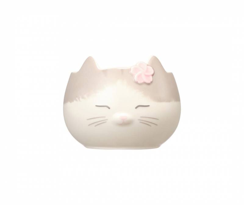 [잡담] 익들아 스벅 컵 뭐사까ㅜㅜㅜㅜ | 인스티즈
