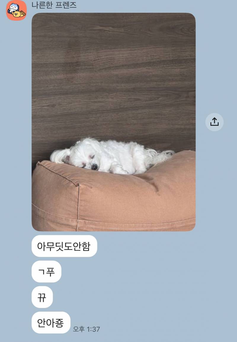 [잡담] 내 애인 너무 기여워 | 인스티즈