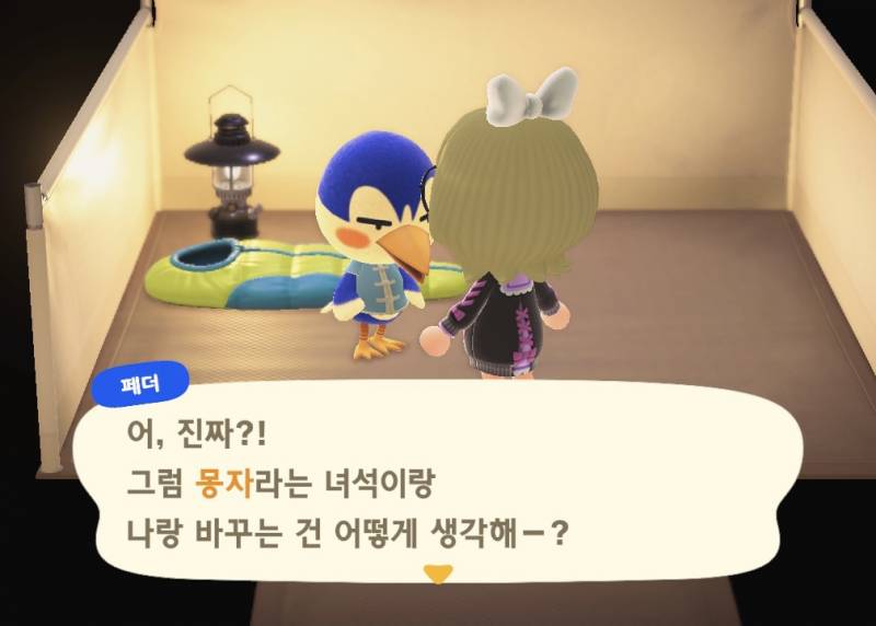 [잡담] 캠핑장에서 새 주민들 데려왔다! | 인스티즈