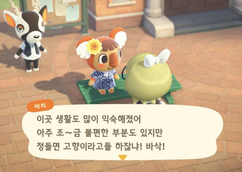 [잡담] 캠핑장에서 새 주민들 데려왔다! | 인스티즈