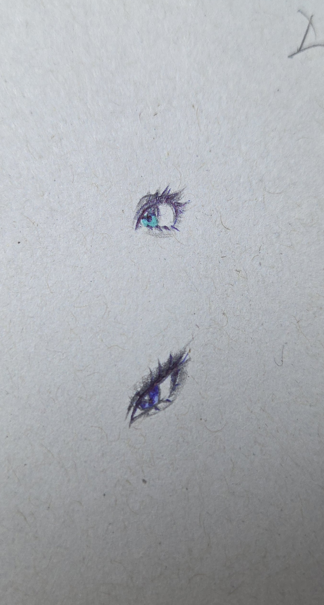 [잡담] 얘도라 눈알 그려봣는데 뭐가 취항이야 | 인스티즈