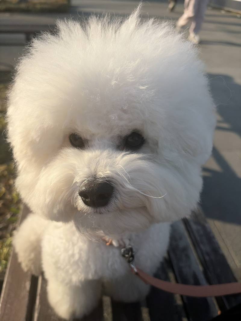 [잡담] 얘가 글케 귀여워??? | 인스티즈