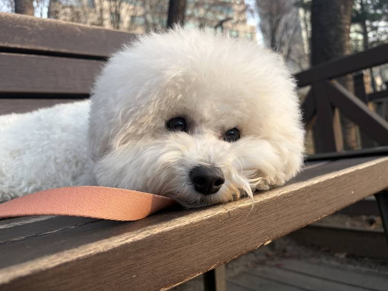 [잡담] 얘가 글케 귀여워??? | 인스티즈