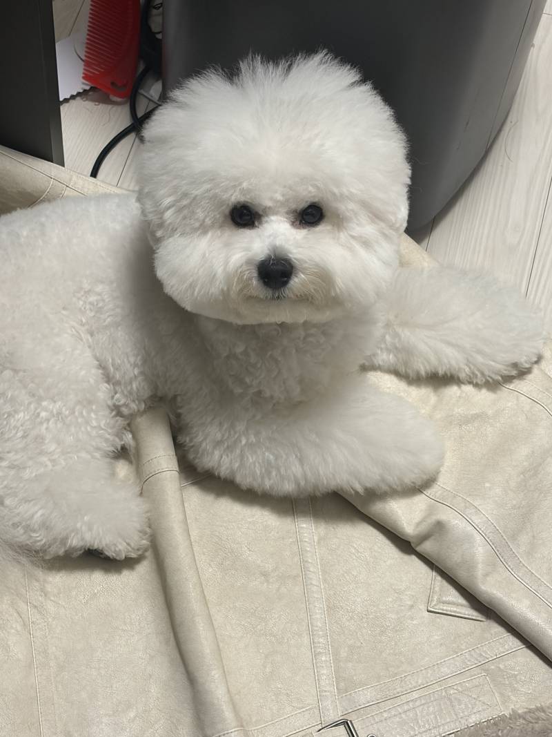 [잡담] 얘가 글케 귀여워??? | 인스티즈