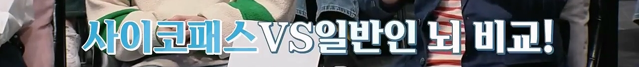 인간은 본래 분할 수면하는 동물이기 때문에 낮잠을 자야한다 | 인스티즈