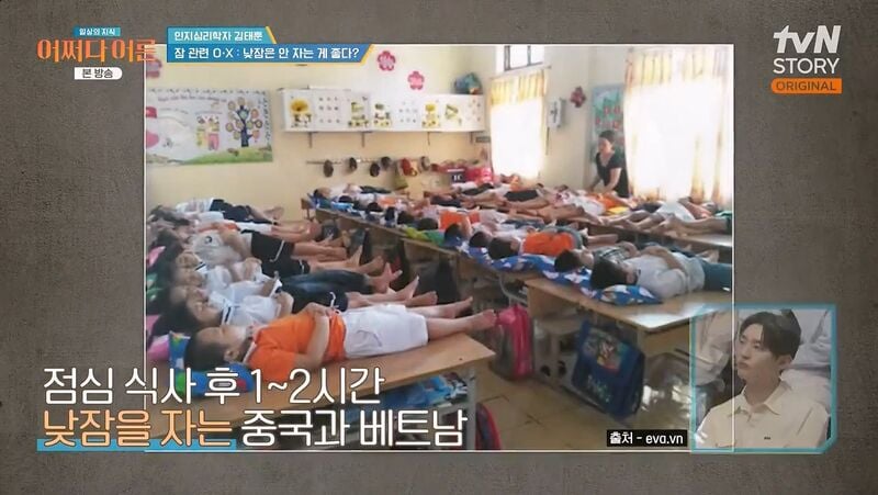 인간은 본래 분할 수면하는 동물이기 때문에 낮잠을 자야한다 | 인스티즈