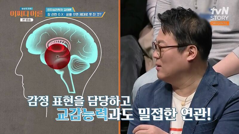 인간은 본래 분할 수면하는 동물이기 때문에 낮잠을 자야한다 | 인스티즈