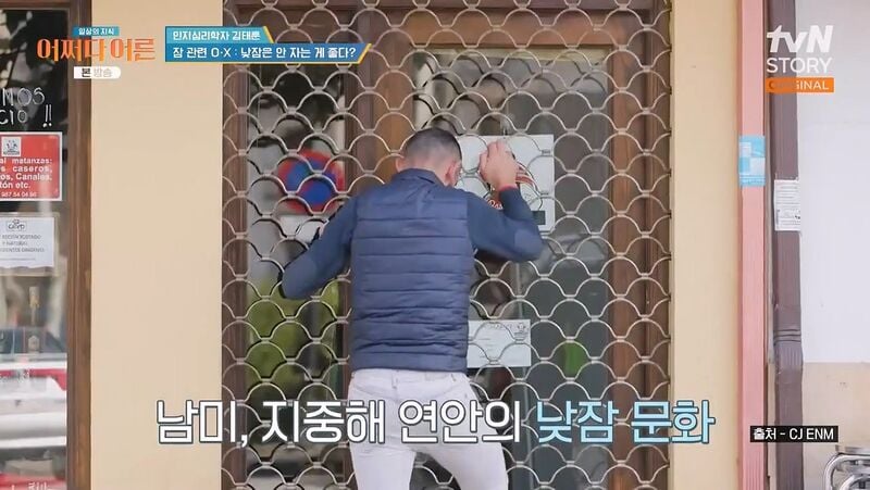 인간은 본래 분할 수면하는 동물이기 때문에 낮잠을 자야한다 | 인스티즈