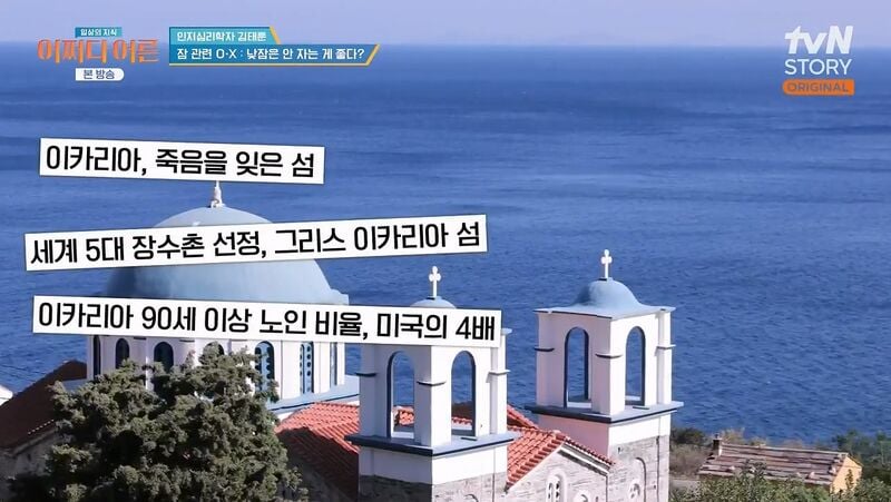 인간은 본래 분할 수면하는 동물이기 때문에 낮잠을 자야한다 | 인스티즈