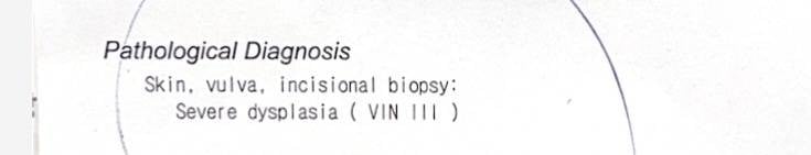 [잡담] 경험 있으면 제발 hpv 검사하고 가다실 꼭 꼭 꼭 맞아... | 인스티즈