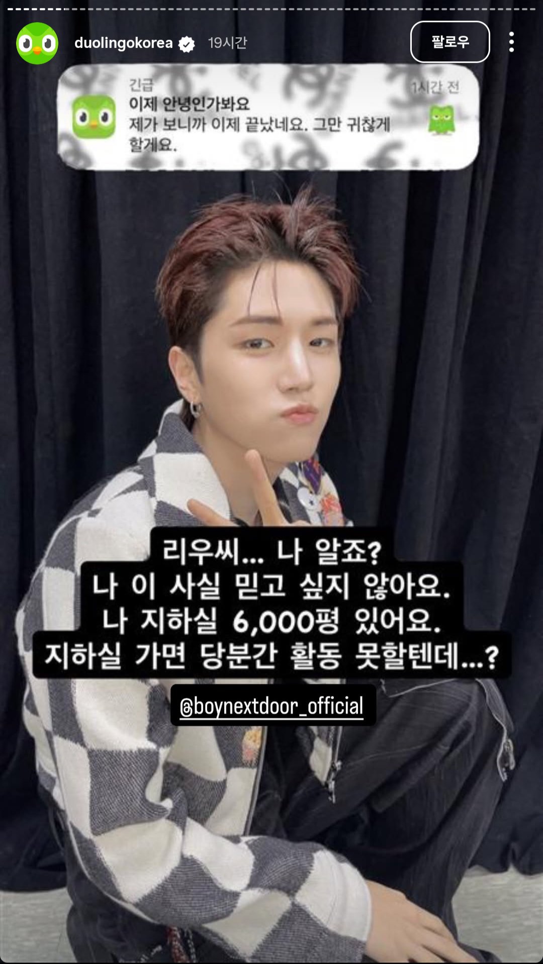 [잡담] 듀오링고에 박제된 남돌 | 인스티즈