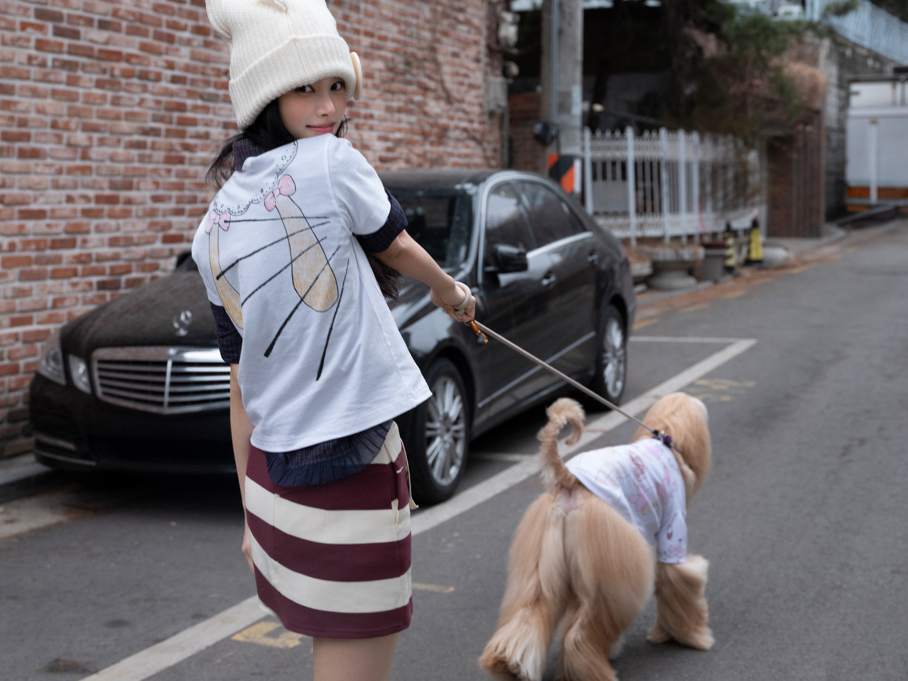 [잡담] 아일릿 컨포에 아프간하운드 데려왔어 ㅋㅋㅋㅋㅋㅋ | 인스티즈