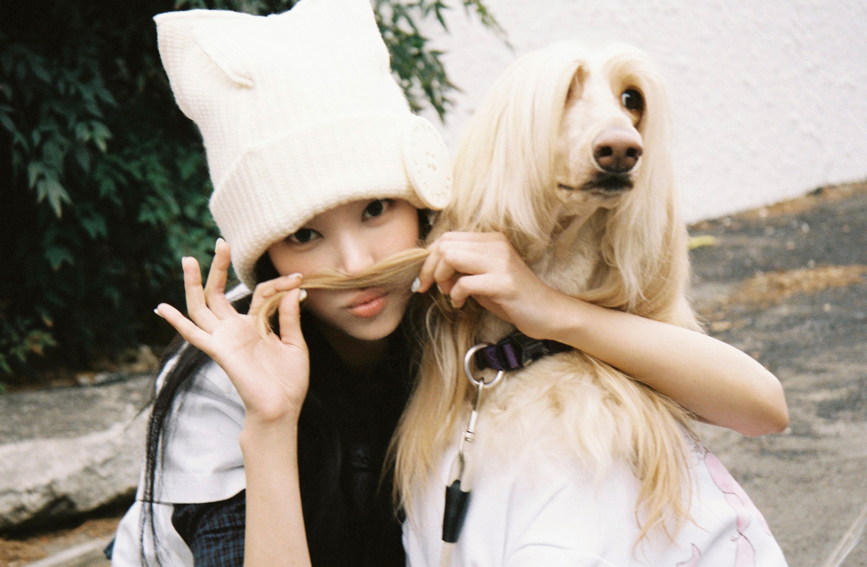 [잡담] 아일릿 컨포에 아프간하운드 데려왔어 ㅋㅋㅋㅋㅋㅋ | 인스티즈