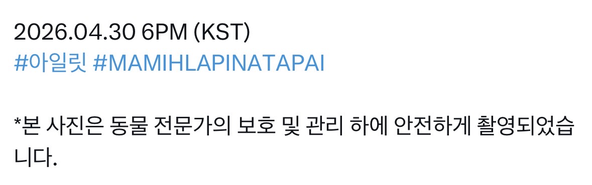 [미디어] ILLIT 'MAMIHLAPINATAPAI' Concept Photo PAW PAW 🐾 | 인스티즈