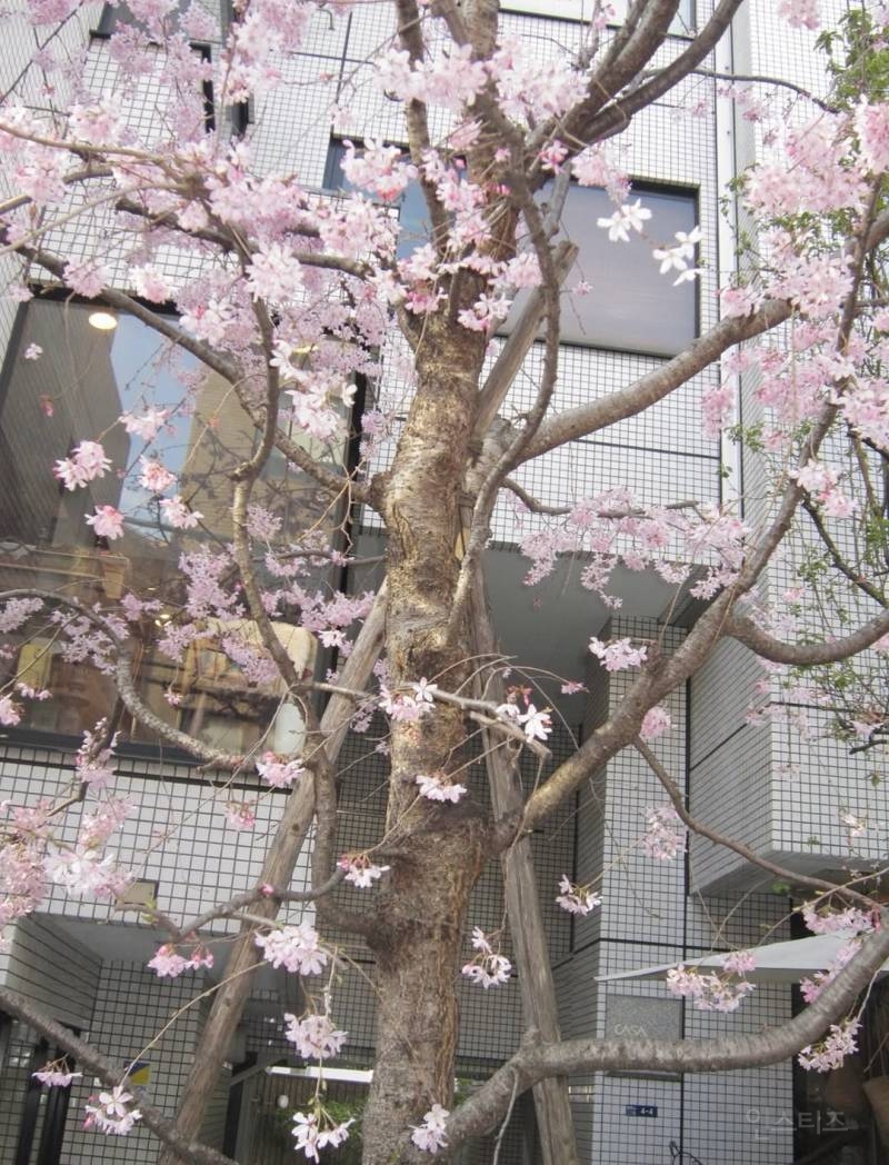 260402 NCT DREAM 재민 인스타그램 업뎃 | 인스티즈