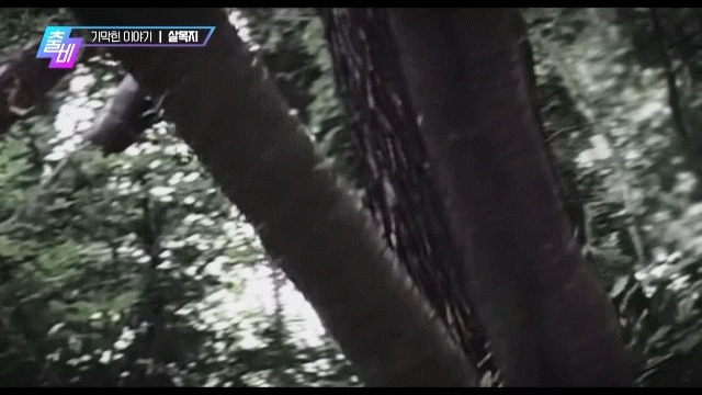 영화로 재탄생 했다는 심야괴담회 레전드 에피소드 | 인스티즈