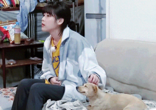 [잡담] 최고 케미 요정 아이유 같음 | 인스티즈
