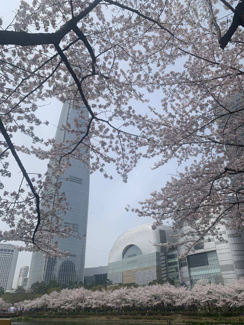 [잡담] 머가 젤 이뻐??? | 인스티즈