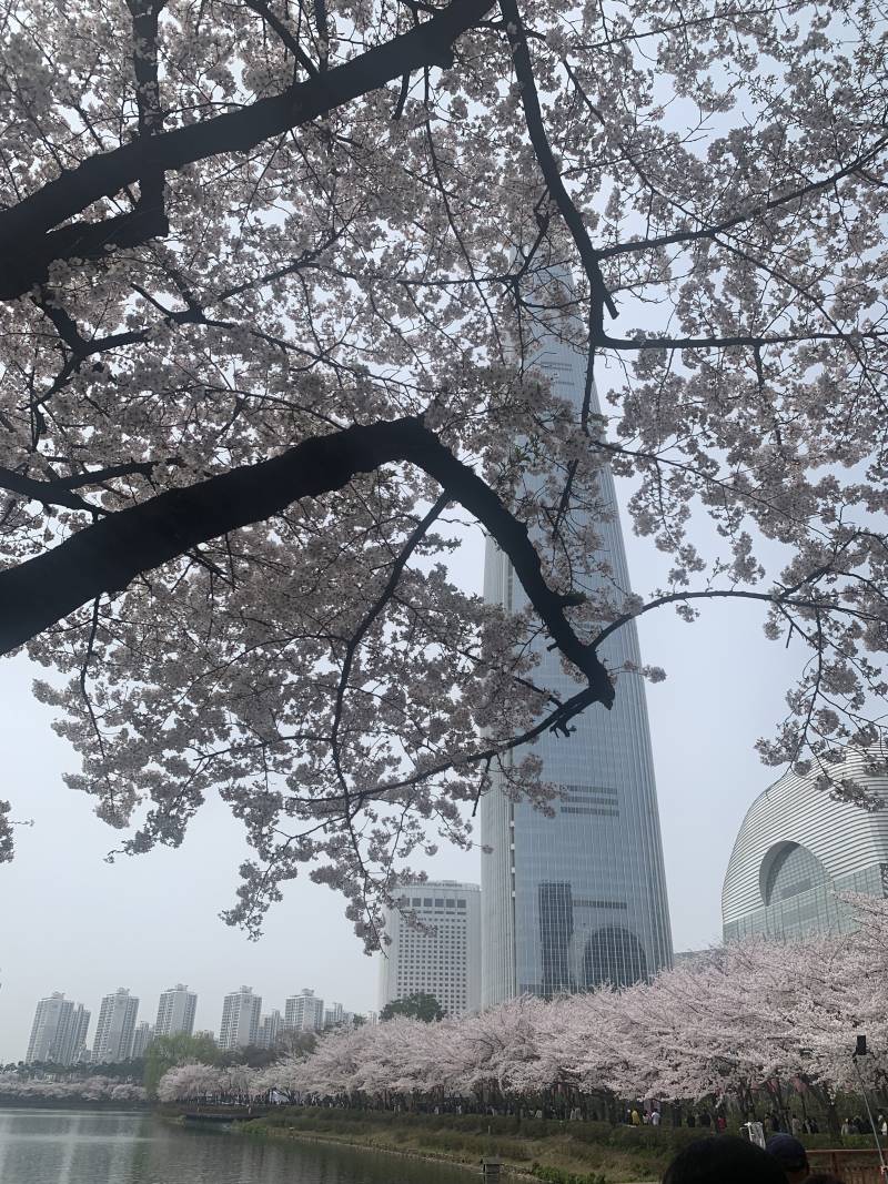 [잡담] 머가 젤 이뻐??? | 인스티즈