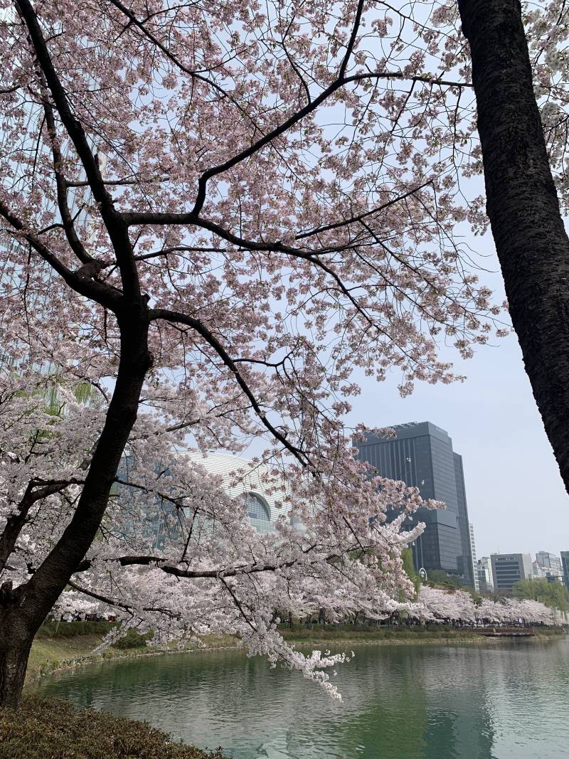 [잡담] 머가 젤 이뻐??? | 인스티즈