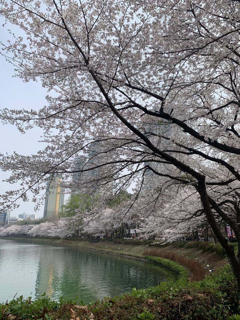 [잡담] 머가 젤 이뻐??? | 인스티즈