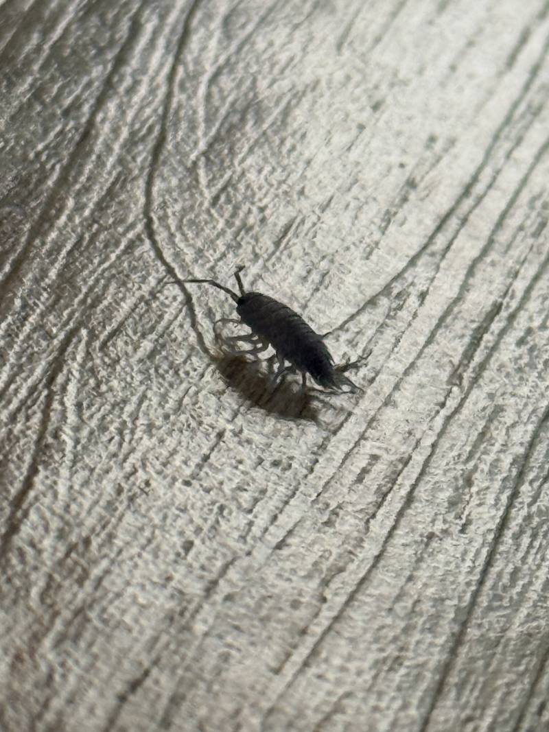 [잡담] 이거 뭘까..? ㅎㅇㅈㅇ | 인스티즈