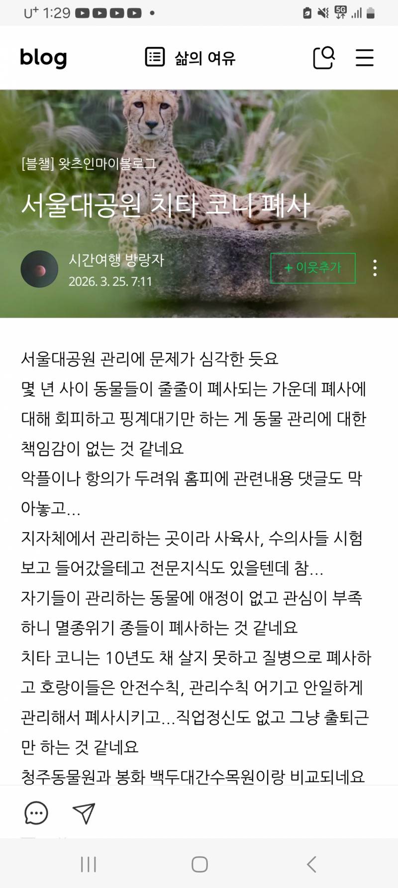 [정보/소식] 서울대공원 치타 코니 폐사 | 인스티즈